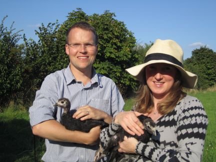 Part-time smallholders rearing rare and traditional breeds of pigs, turkeys, chickens and ducks. We also keep bees and grow a lot of our own fruit and veg.