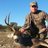royce_ahrlett's profile image