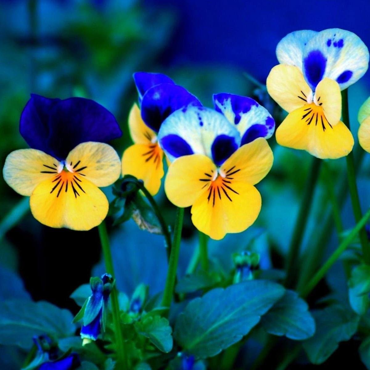 If you have lost a loved one and would like more than the standard obituary or if you need help writing a eulogy, we are here to help.