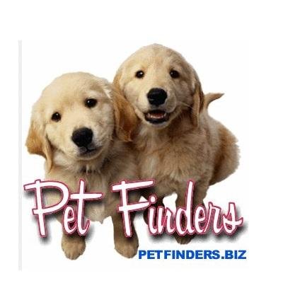 petfinders
