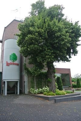 lindeboompje78's profile picture. 