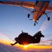 Skydive Netheravon (@armyparachute) Twitter profile photo Skydive Netheravon (@armyparachute) Twitter profile photo