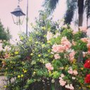 CM - @KarolMoran - Twitter