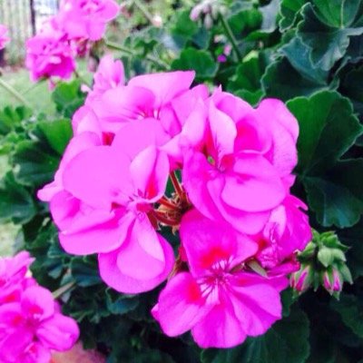 juanitrejo88's profile picture. 