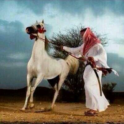 يانسيم الليل سلملي على اللي مانسيته...بلغه شوقي وطمني لعله مانسااااني