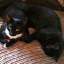 linsey.jones - @LinseyJones72 - Twitter