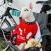 Blake Ovard (@tuggbullterrier) Twitter profile photo Blake Ovard (@tuggbullterrier) Twitter profile photo