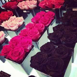 meesho1995's profile picture. 