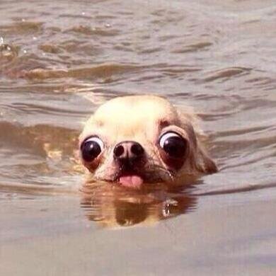 marizonha's profile picture. 