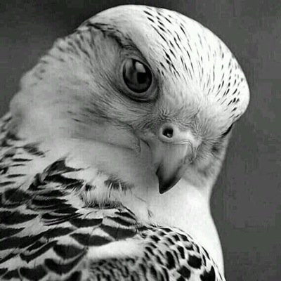 m2m2_m2m2m2's profile picture. 