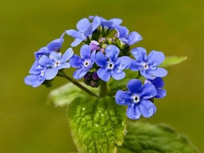 RLAK_70's profile picture. you