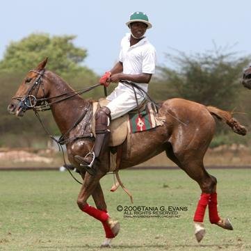 stmonte's profile picture. 