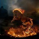 Michelle Suiter - @BVB_Lvr3 - Twitter