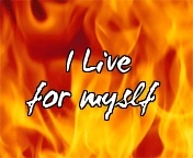 honeyfrndz's profile picture. 