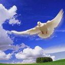 Paul Portelli - @PaulPaulcann - Twitter