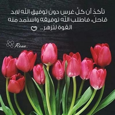 مندوب طبي واغاثي لمدينة تلبيسه في محافظة حمص العديه