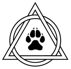 um not much really just a guy 16 im bi and I support anything be it gay, anything I'm a wolf therian I don't have a pack but I'm looking for one in