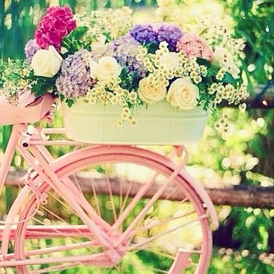 patriciabb2009's profile picture. 