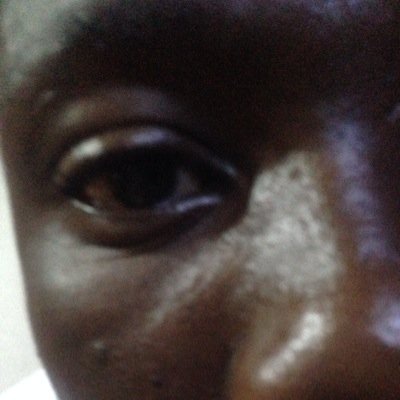 warantxtranha's profile picture. 