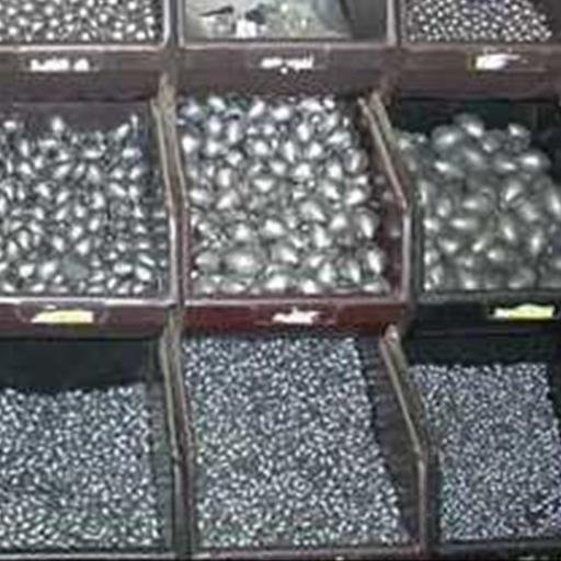 chumbadadepesca's profile picture. 