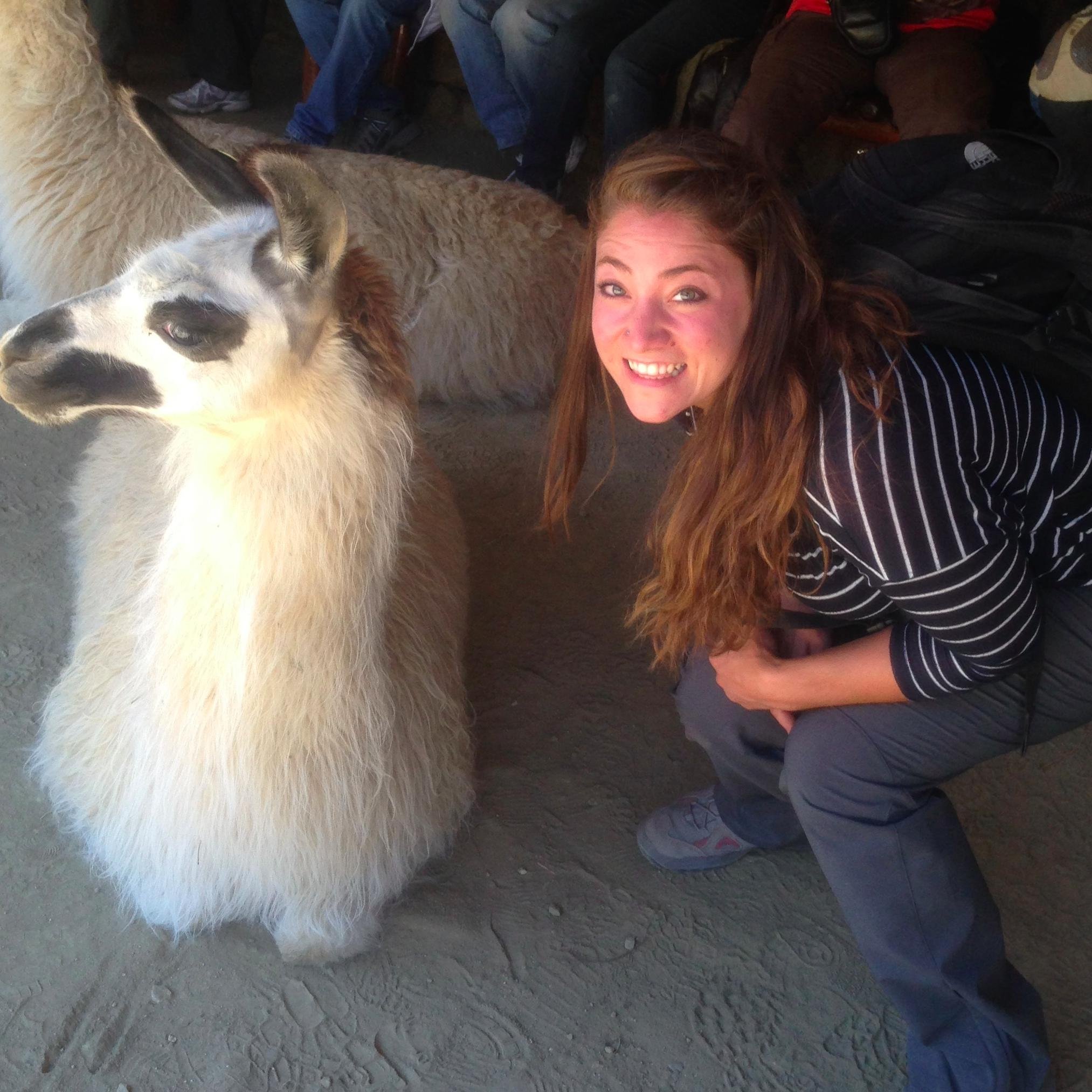 RahimiHeather's profile picture. 