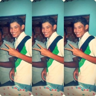 palmeiras