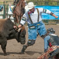 Scott Waye (@wayescott) 's Twitter Profile