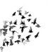 Seham Alharbi 🕊 (@isahom) Twitter profile photo Seham Alharbi 🕊 (@isahom) Twitter profile photo