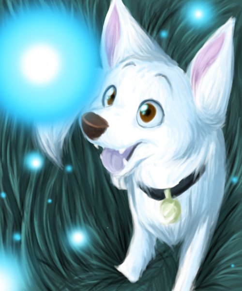 hello my names bolt l'm 12 years old almost 13 l'm a male white German shepherd my best friend is kaltag @mikey_the_joke is my owner mate #single