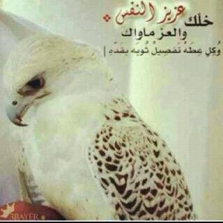 ‏لا اله الى الله محمد رسول الله