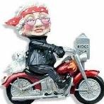 Young-at-heart granny, CFS/FM, news junkie, political liberal, #RESIST, LGBTQ ally, SOA for life, writer wannabe