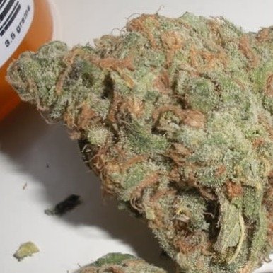 Weed_Posts_420's profile picture. 