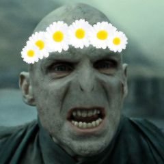 grupo de whatsapp para potterheads manda o numero na dm