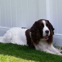 Diane Earl - @dianemoriarty60 - Twitter