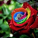 Shelly Easley - @score4mama - Twitter