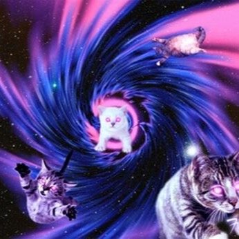 king__1D's profile picture. bitches be salty