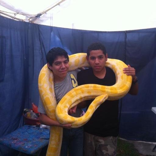 Este trabajo parece para mi, por que no tendre miedo y me ire antes de que colapse por que ese es el camino de mi vida, cuando me valla dejare un legado