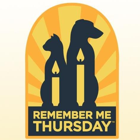 favoriteflix's profile picture. 