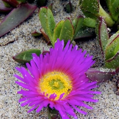 VinalSarah's profile picture. 