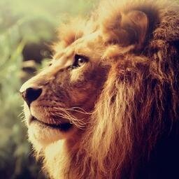 Loucos por Jesus !