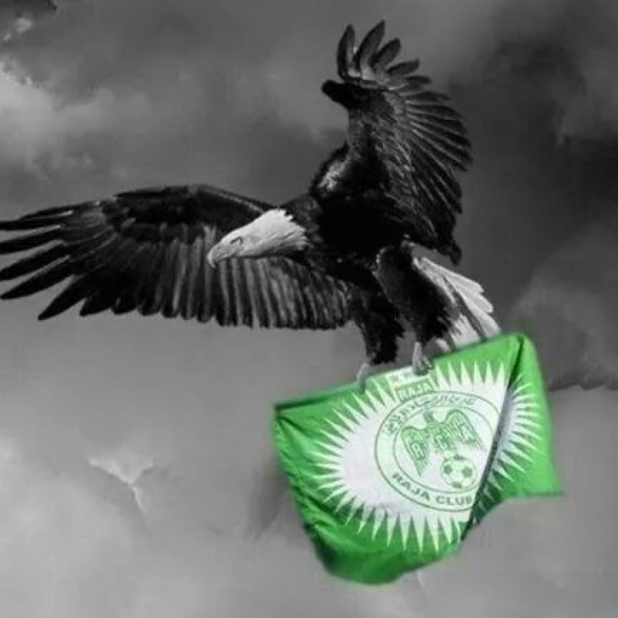 MouradAmigoo's profile picture. 