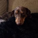 Eric Mason - @Easy_E6572 - Twitter