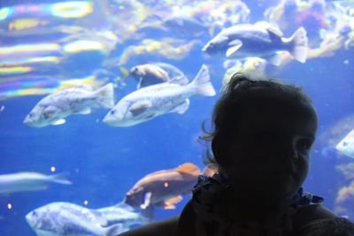 lindseydgraves's profile picture. 