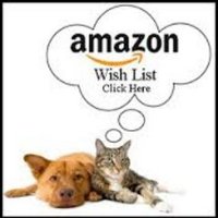 #AmazonWishlist (@amazonwishlists) 's Twitter Profile