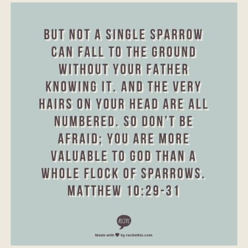 Jesus, coffee, books and running while raising my 4 and married to my best.