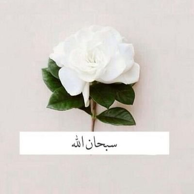 رجائي أن تضمنا جنة نلقى فيها أحبابنا الراحلين، ونبيًا اقتفينا أثره و صحابته أجمعين .!