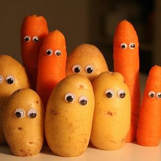 DietDisguise's profile picture. My goal is to find wholesome but yummy recipes that picky eaters will love. If you hide the onion they will love it but don't let them see!