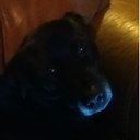 Myles shaw - @razor263 - Twitter