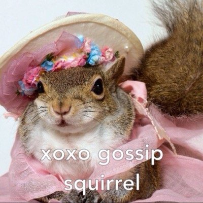 Gossip squirrel here, your one and only source into the scandalous lives of UA Students. You know you love me. Xoxo. 
Tips/Gossip: GossipSquirrelUA@gmail.com
