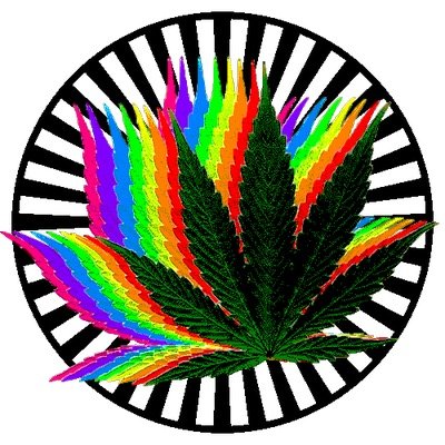 Follow for some funny weed tweets and general knowledge about life #kushsociety. business contact: kushsociety1@gmail.com follow me and ill follow back